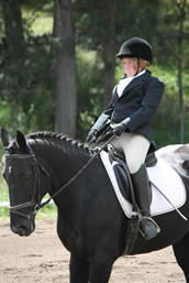 Shade dressage